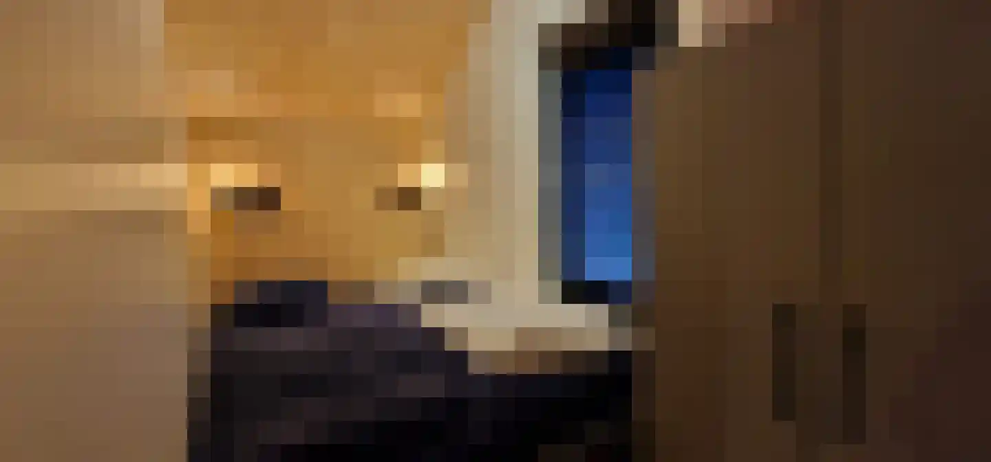 Oude Benderseweg 11 418 Ruinen thumbnail 15