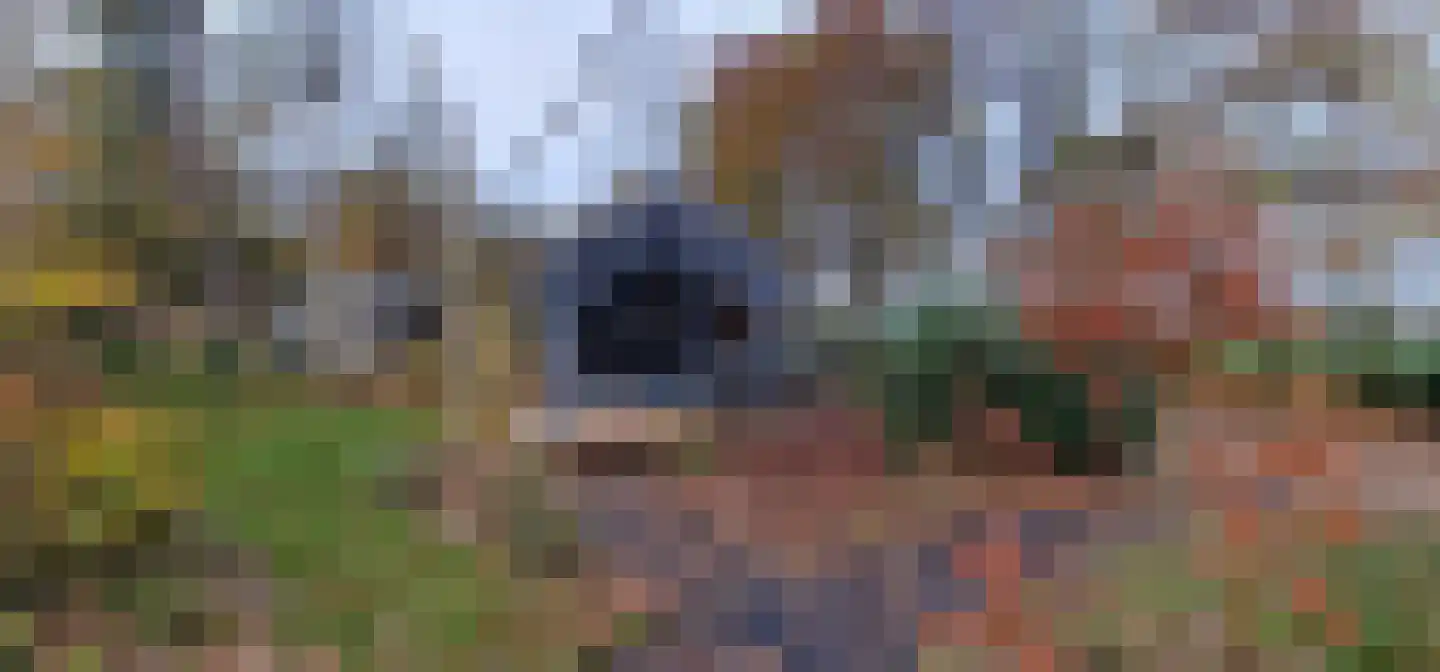 Oude Benderseweg 11 418 Ruinen thumbnail 16
