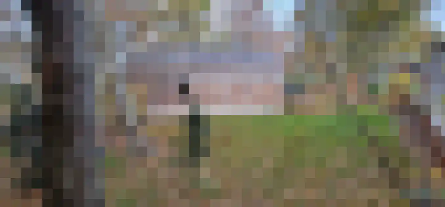 Oude Benderseweg 11 418 Ruinen thumbnail 17