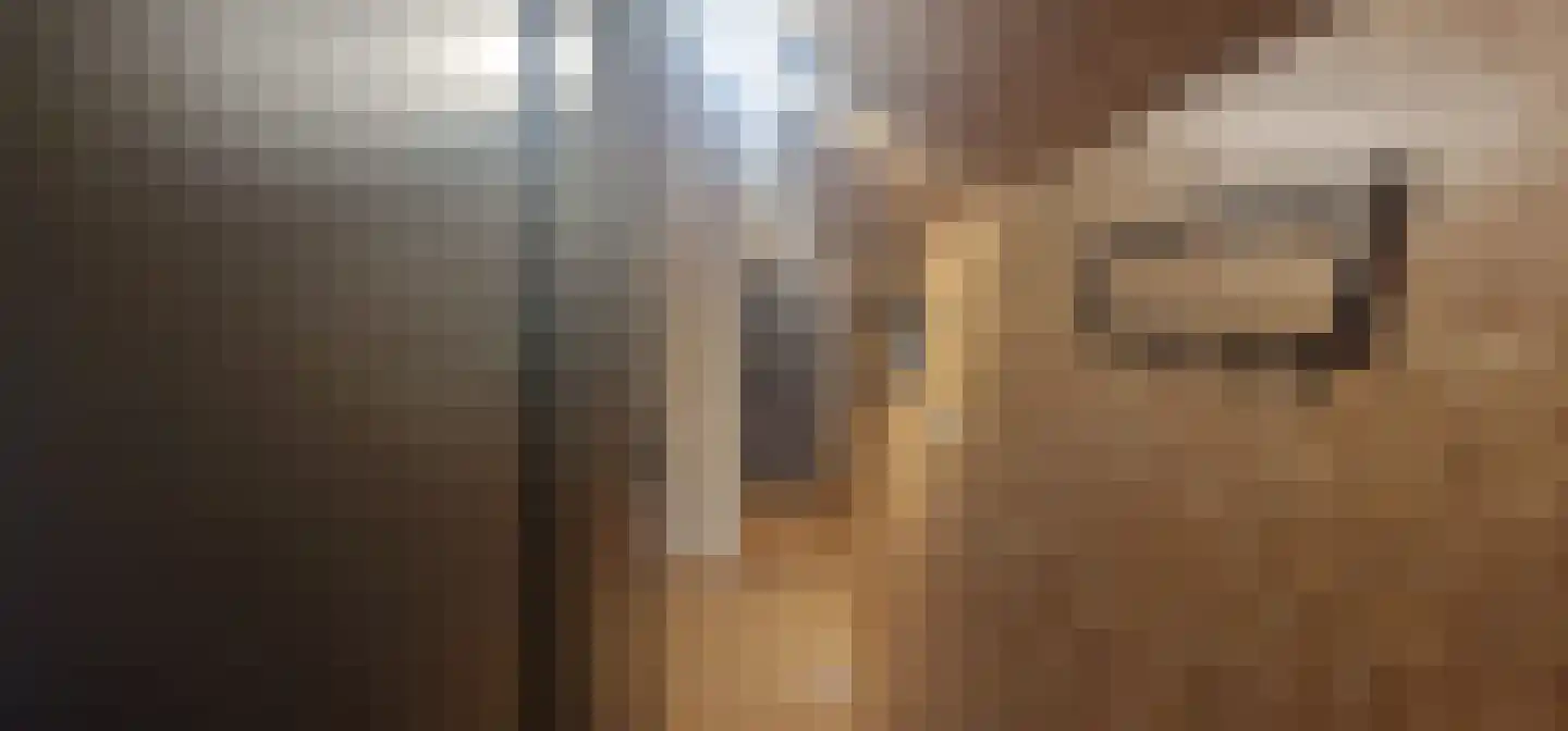 Oude Benderseweg 11 418 Ruinen thumbnail 7