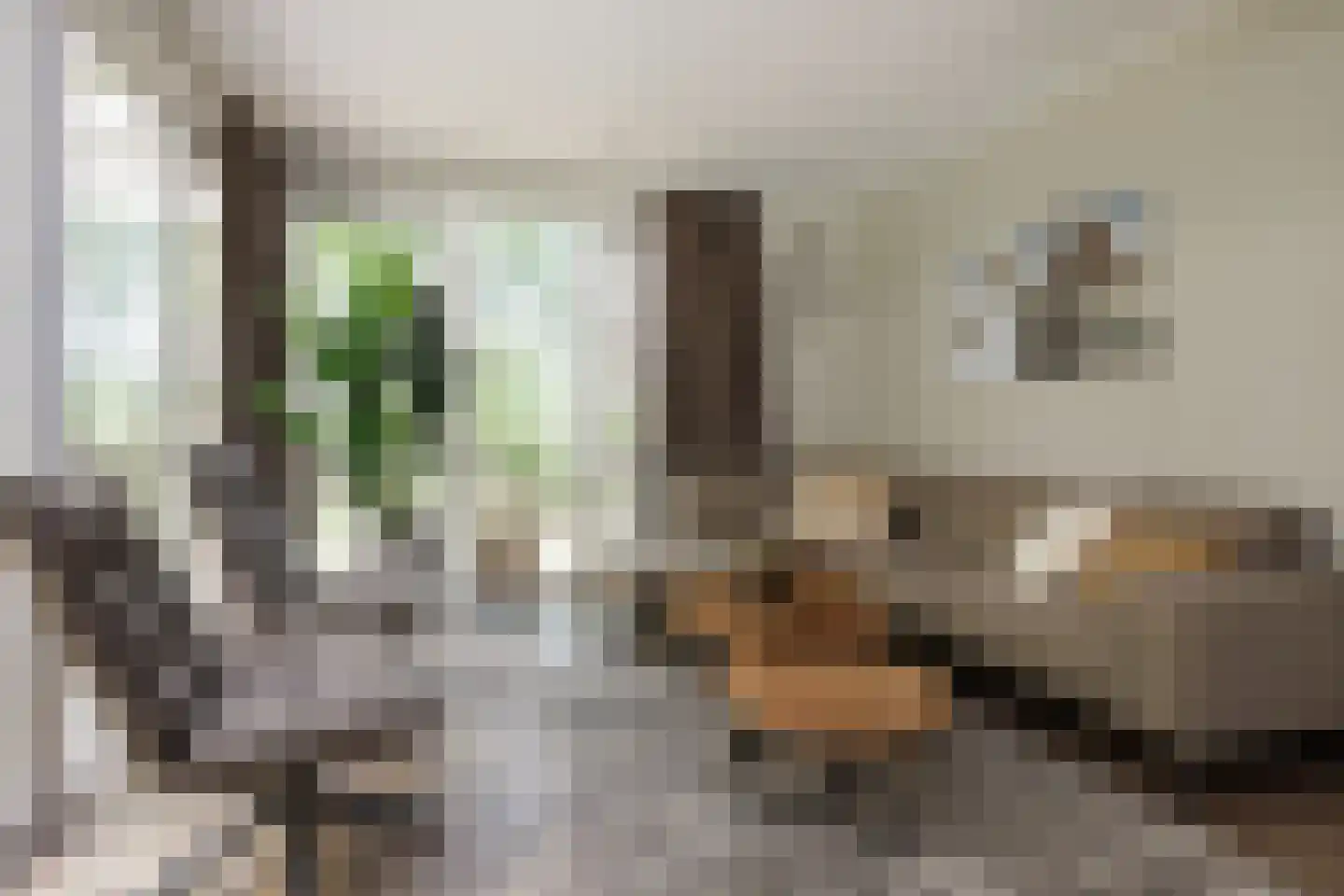 Oude Benderseweg 11 508 Ruinen thumbnail 12