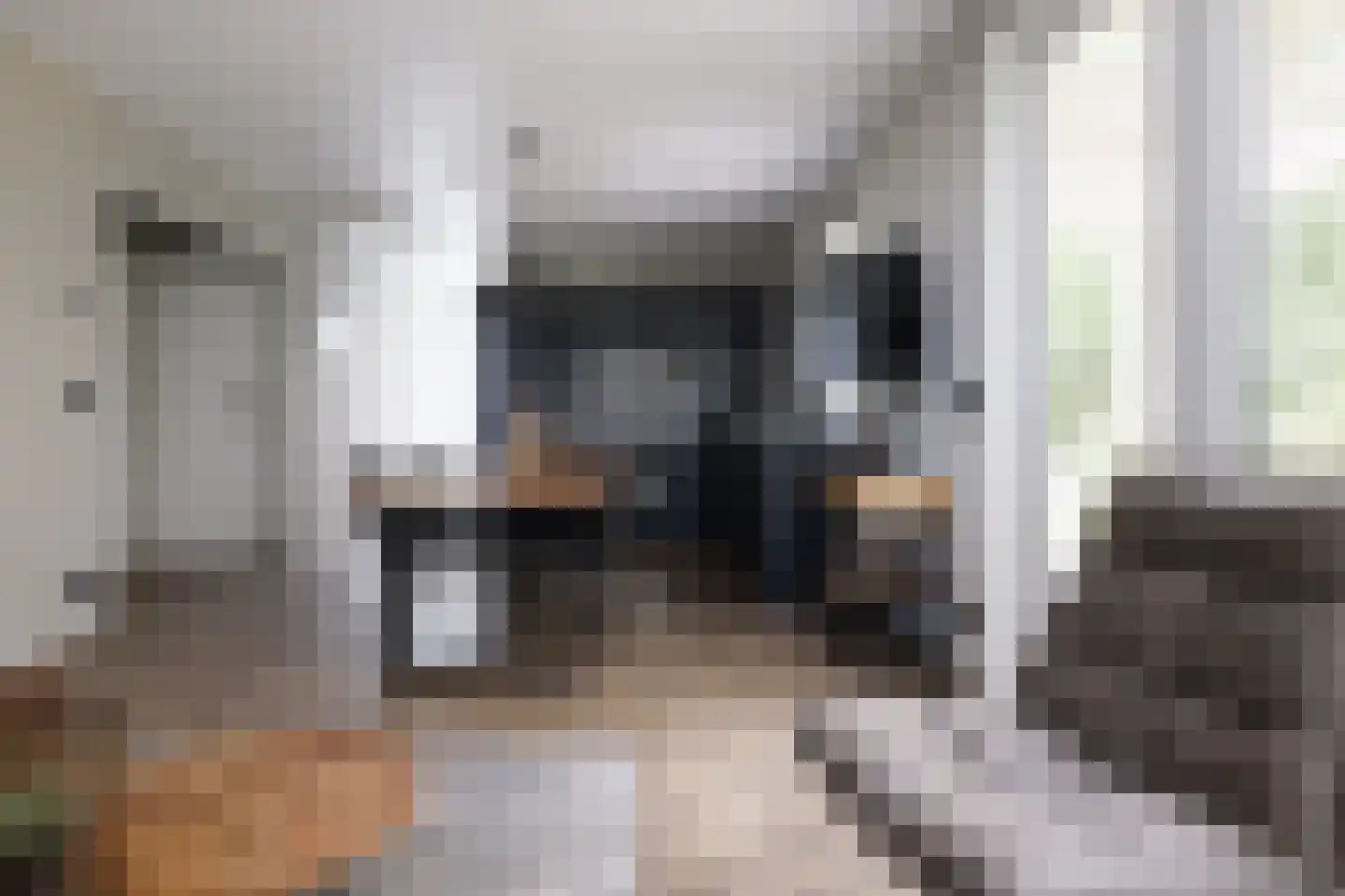 Oude Benderseweg 11 508 Ruinen thumbnail 13