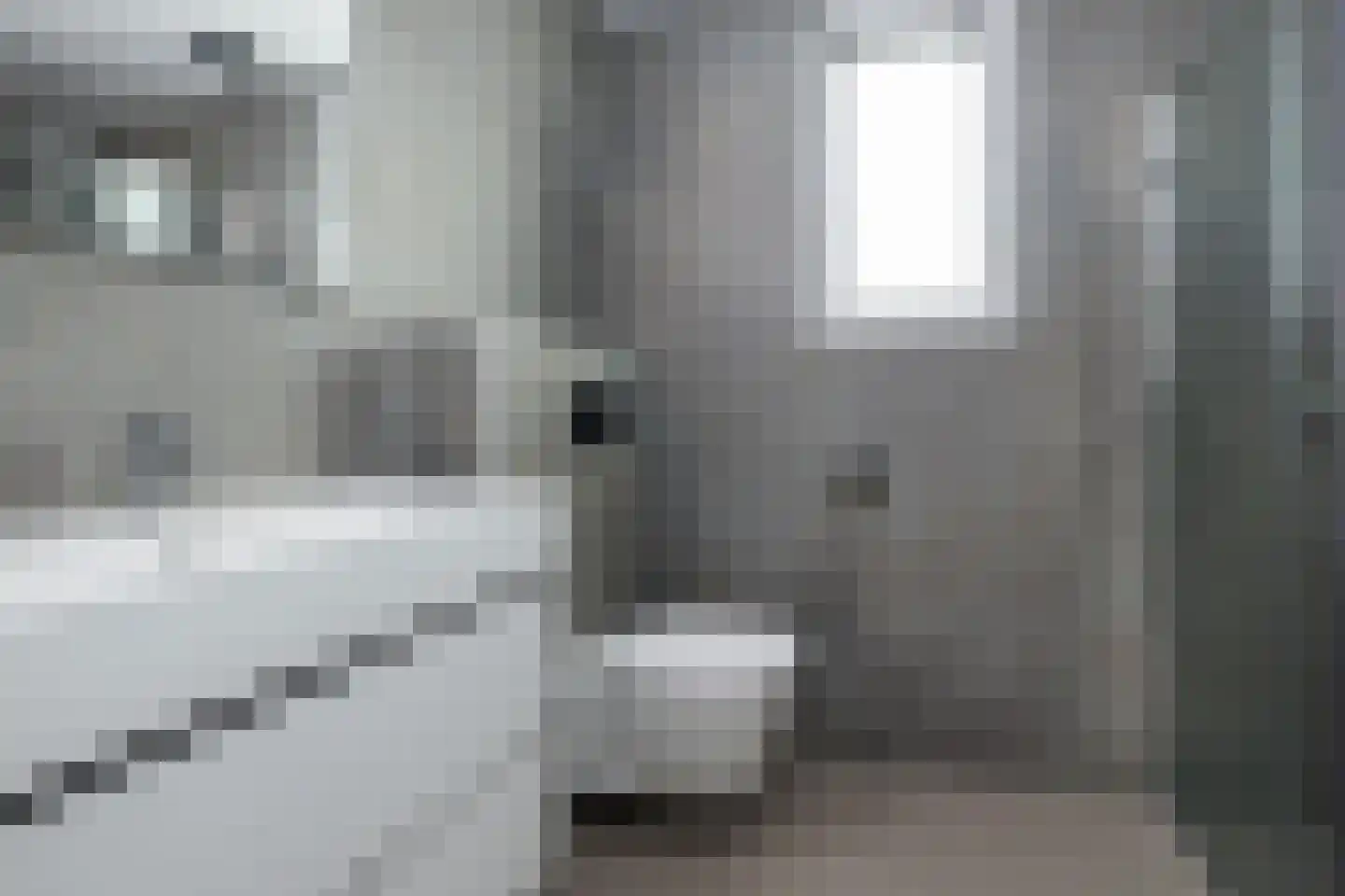 Oude Benderseweg 11 508 Ruinen thumbnail 18