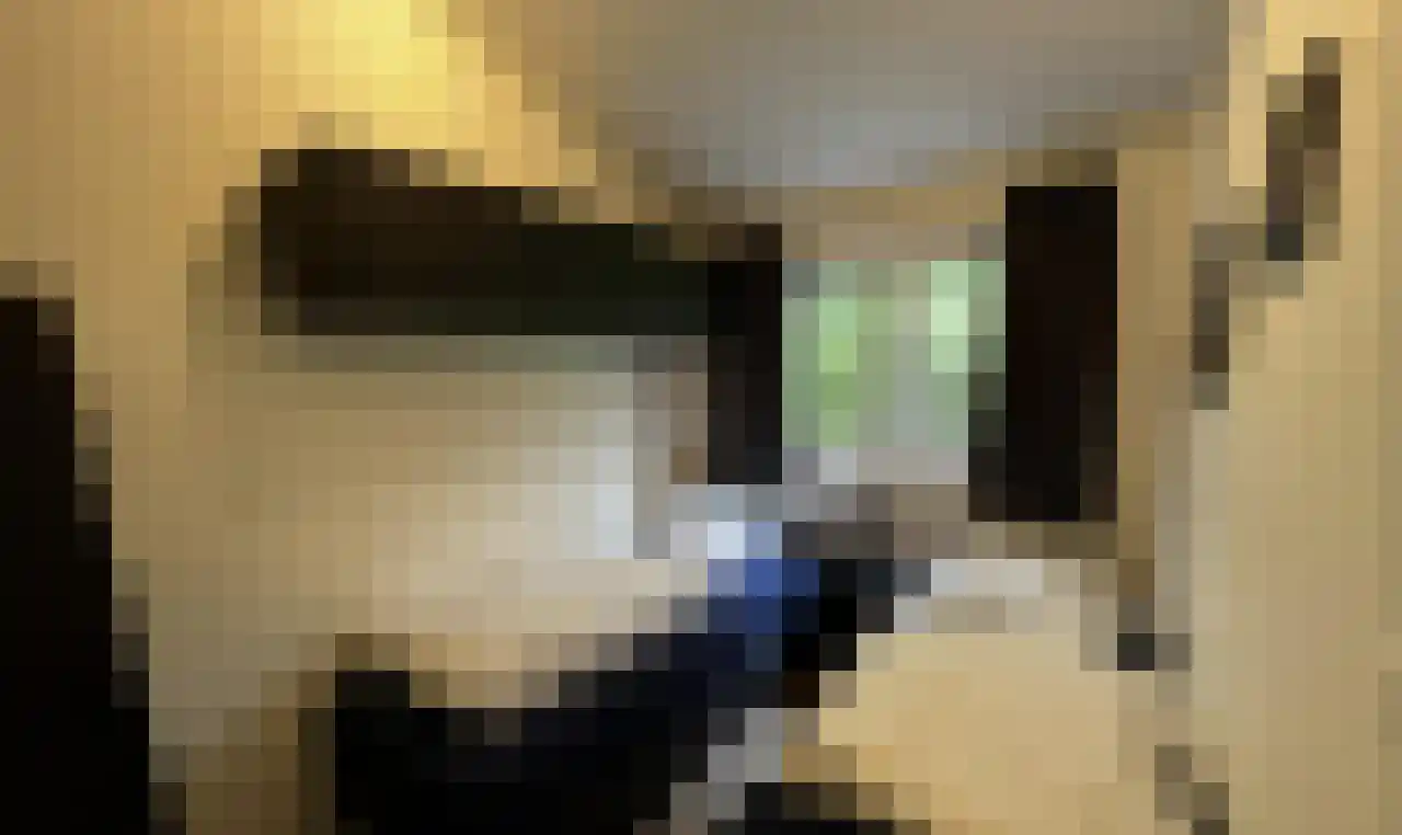 Oude Benderseweg 11 514 Ruinen thumbnail 11