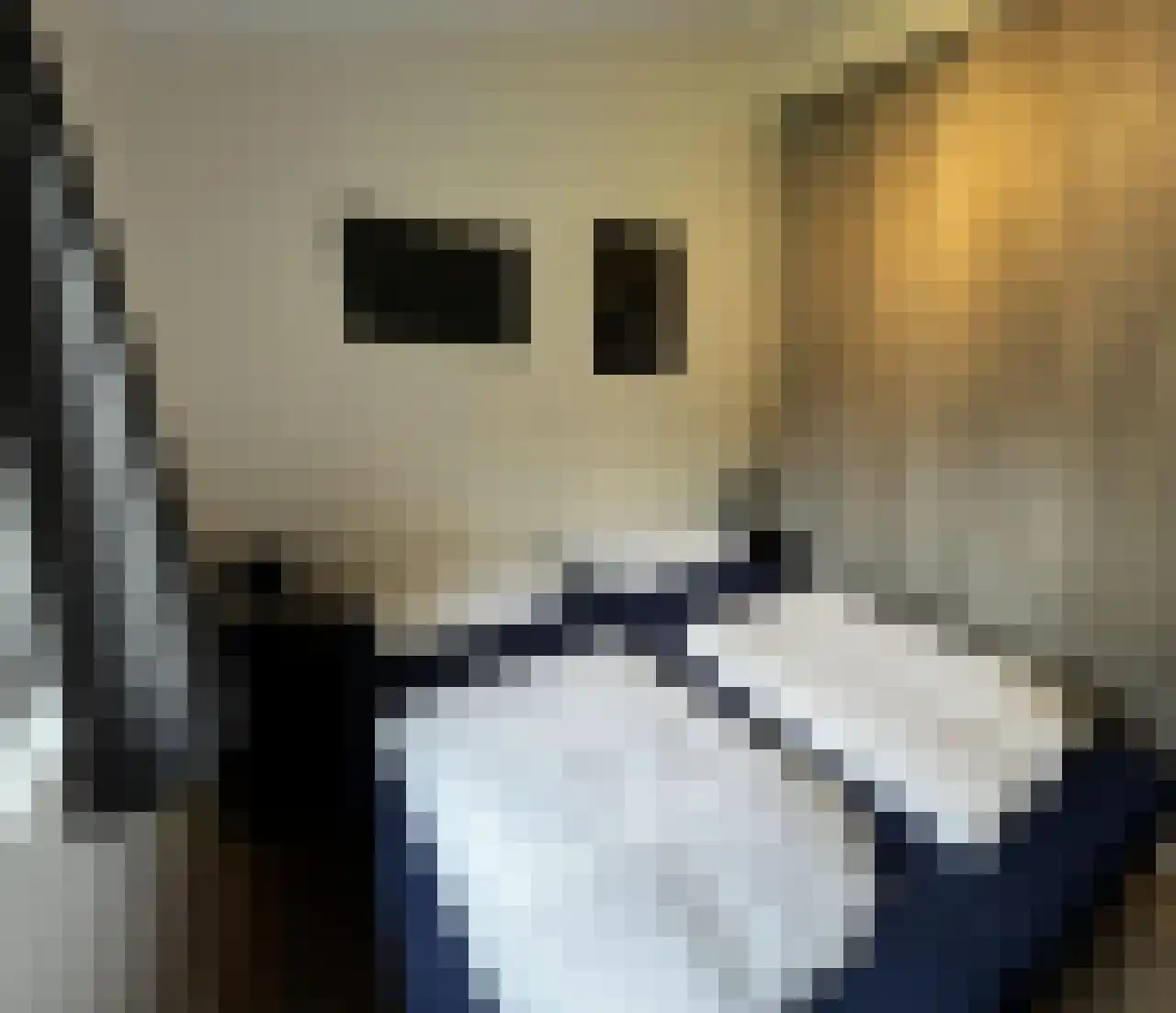 Oude Benderseweg 11 514 Ruinen thumbnail 13
