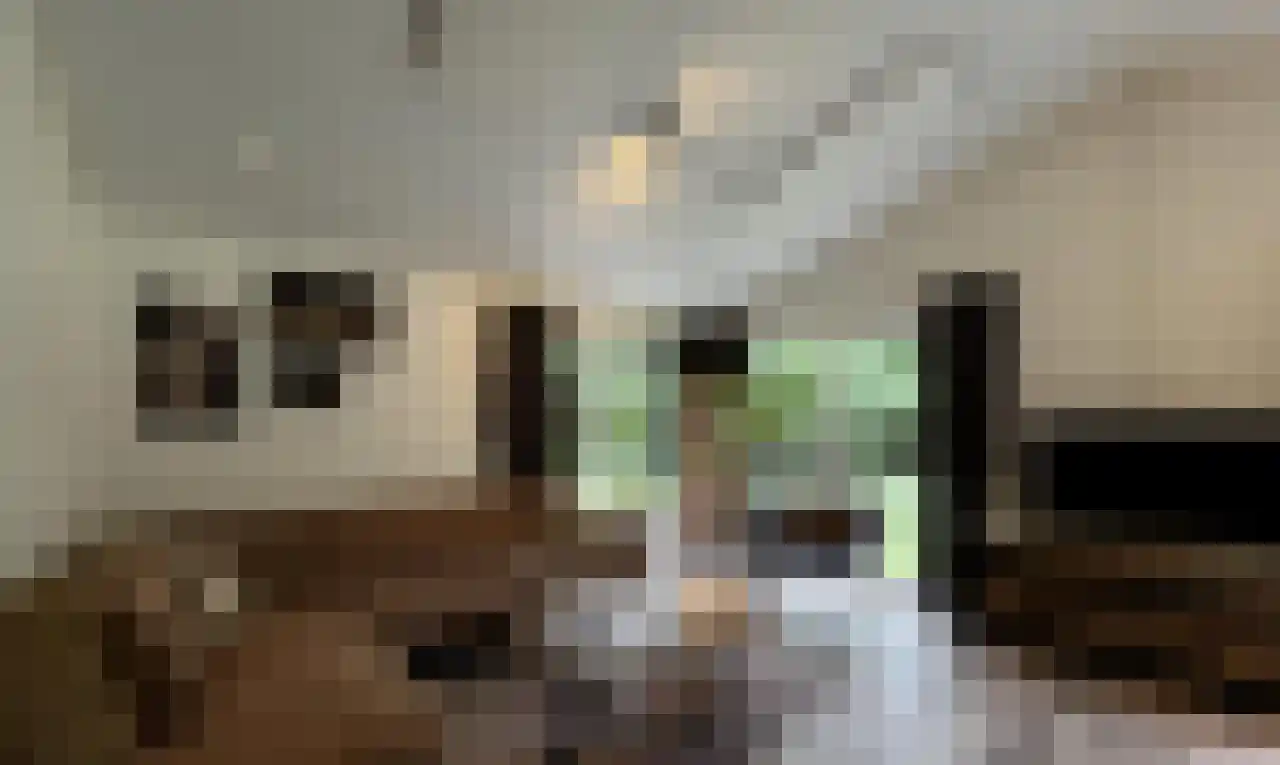 Oude Benderseweg 11 514 Ruinen thumbnail 4