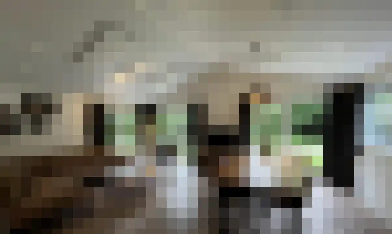 Oude Benderseweg 11 514 Ruinen thumbnail 5