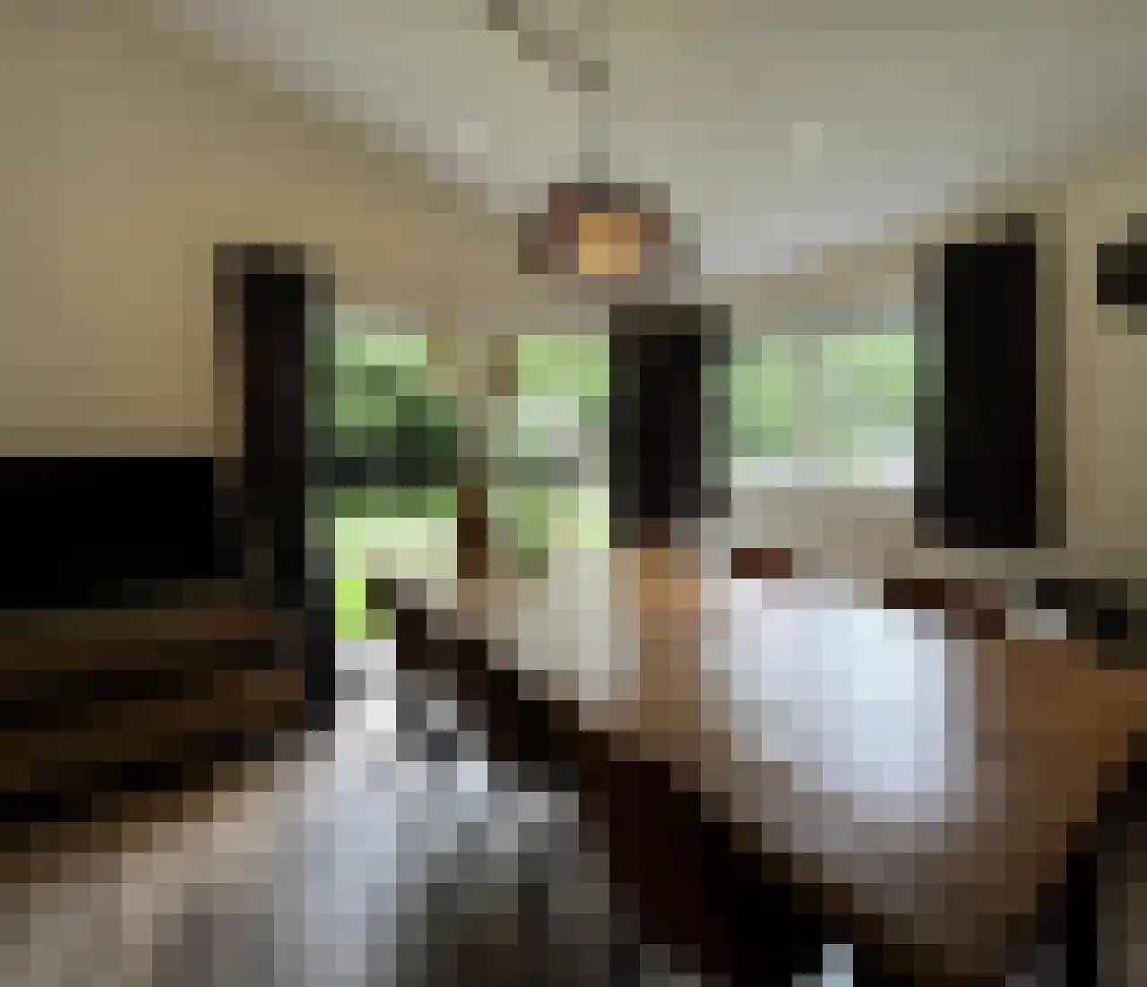 Oude Benderseweg 11 514 Ruinen thumbnail 6