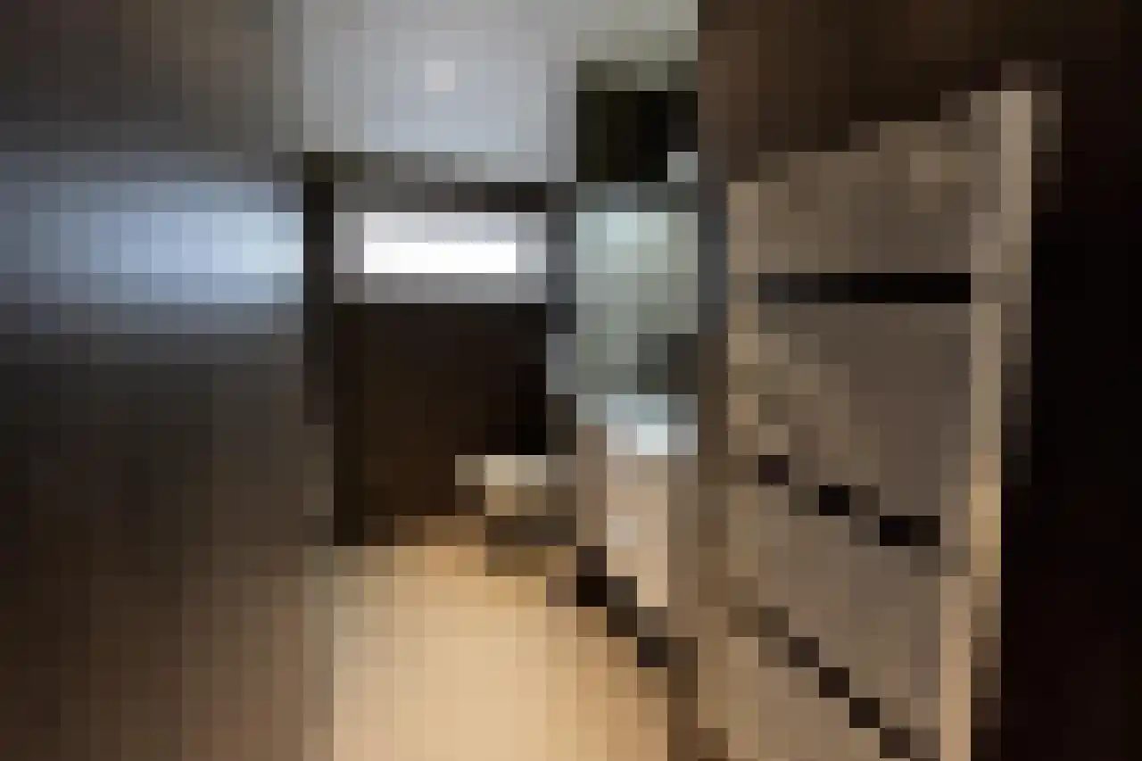 Oude Benderseweg 11 514 Ruinen thumbnail 8