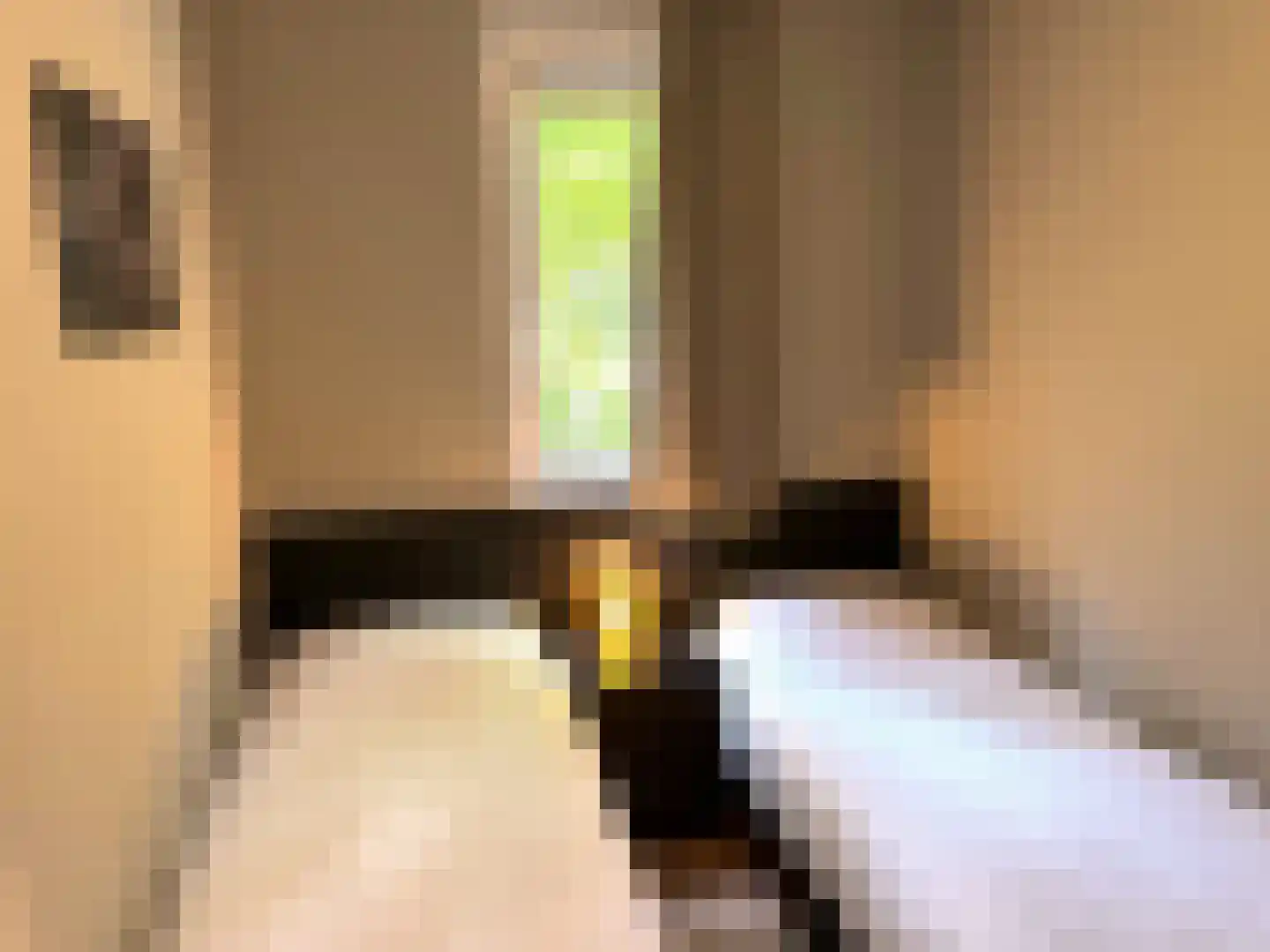 Oude Benderseweg 11 542 Ruinen thumbnail 13