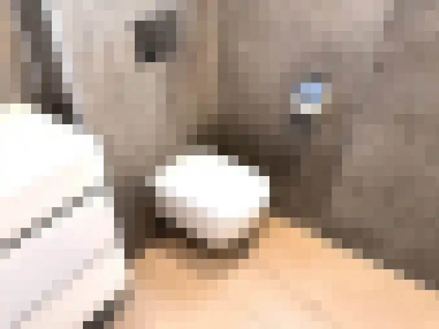 Oude Benderseweg 11 542 Ruinen thumbnail 14