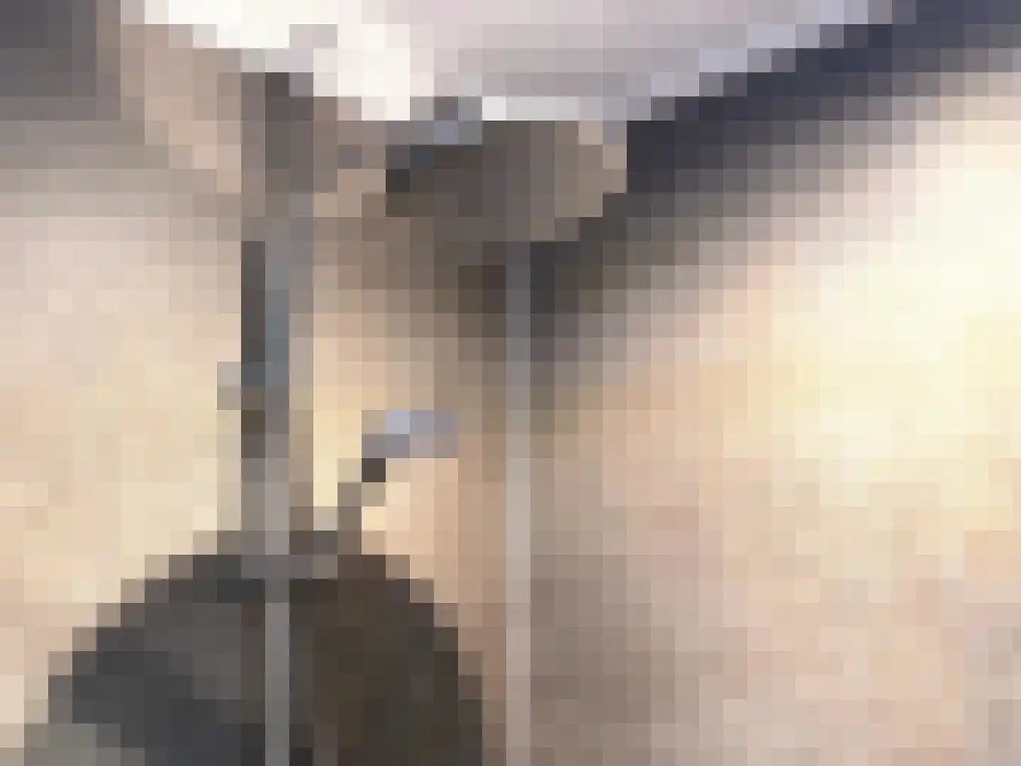 Oude Benderseweg 11 542 Ruinen thumbnail 16