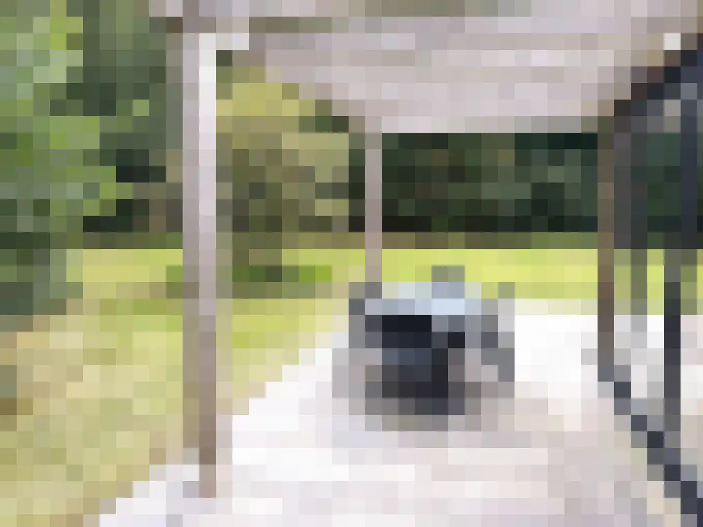 Oude Benderseweg 11 542 Ruinen thumbnail 18