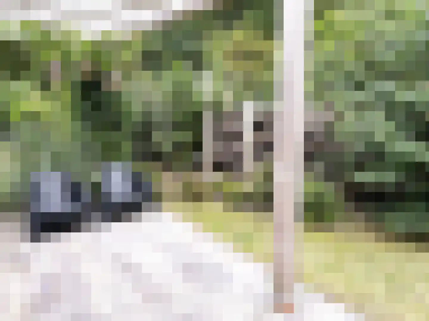 Oude Benderseweg 11 542 Ruinen thumbnail 19