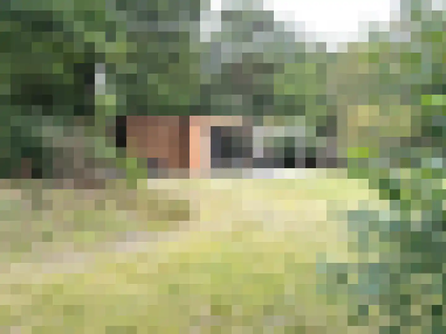 Oude Benderseweg 11 542 Ruinen foto 2