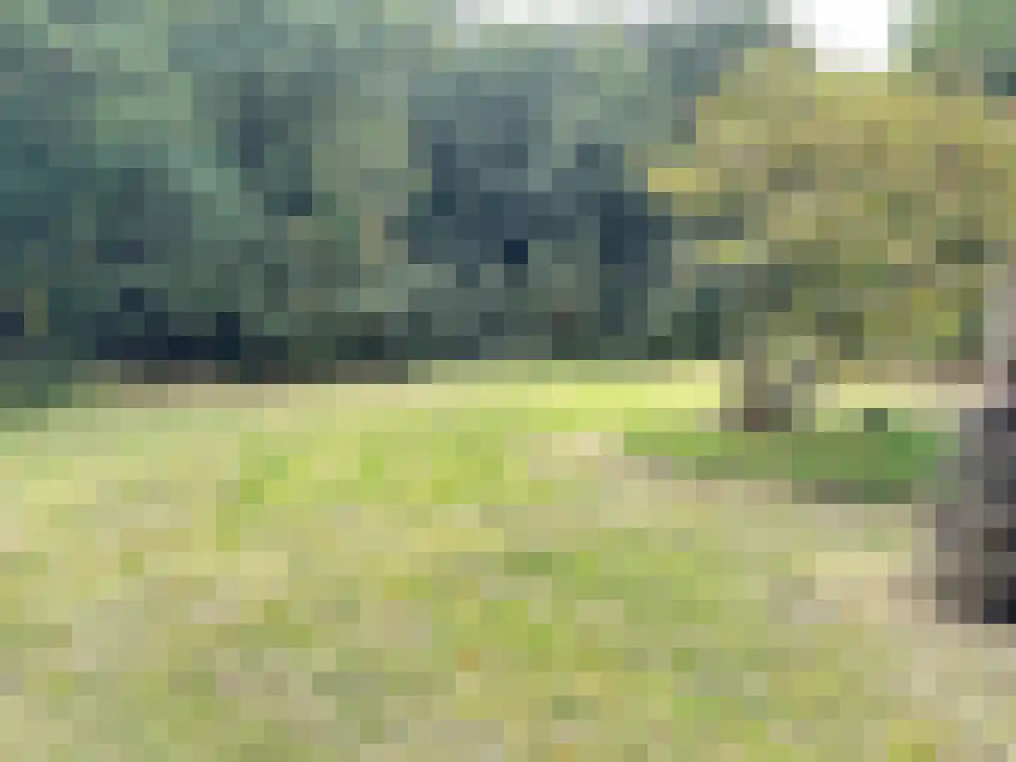 Oude Benderseweg 11 542 Ruinen thumbnail 20