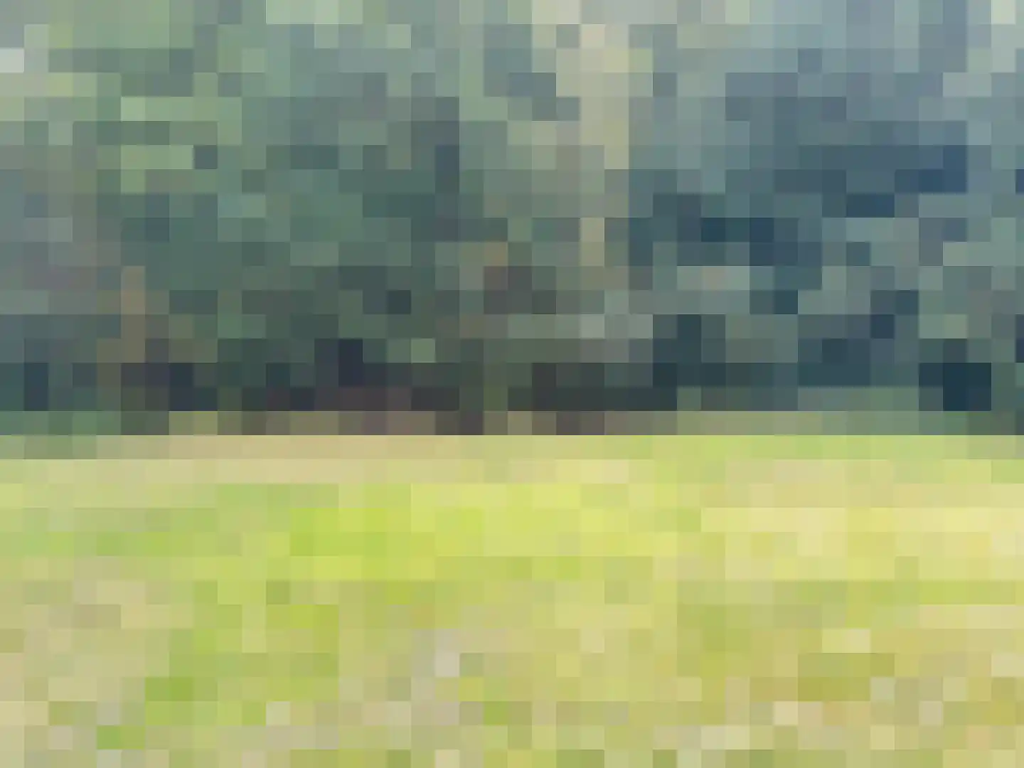 Oude Benderseweg 11 542 Ruinen thumbnail 21