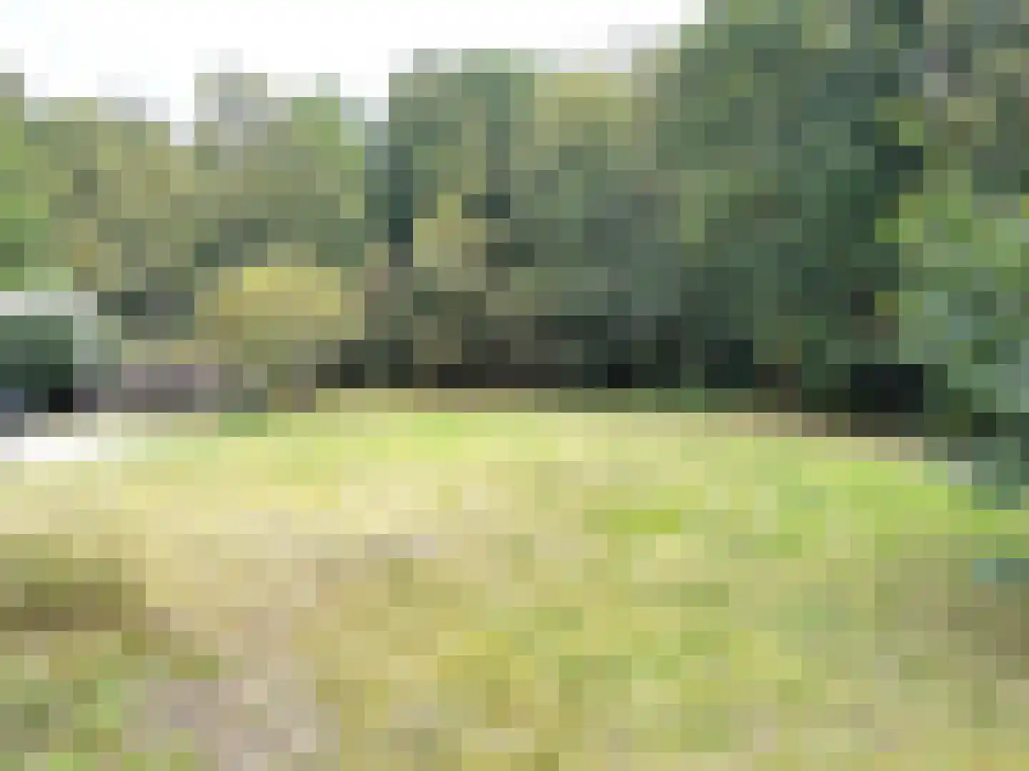 Oude Benderseweg 11 542 Ruinen thumbnail 22