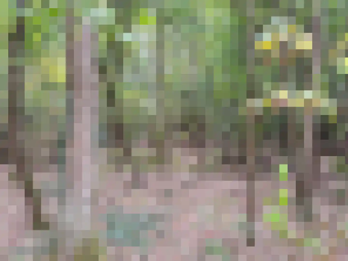 Oude Benderseweg 11 542 Ruinen thumbnail 23