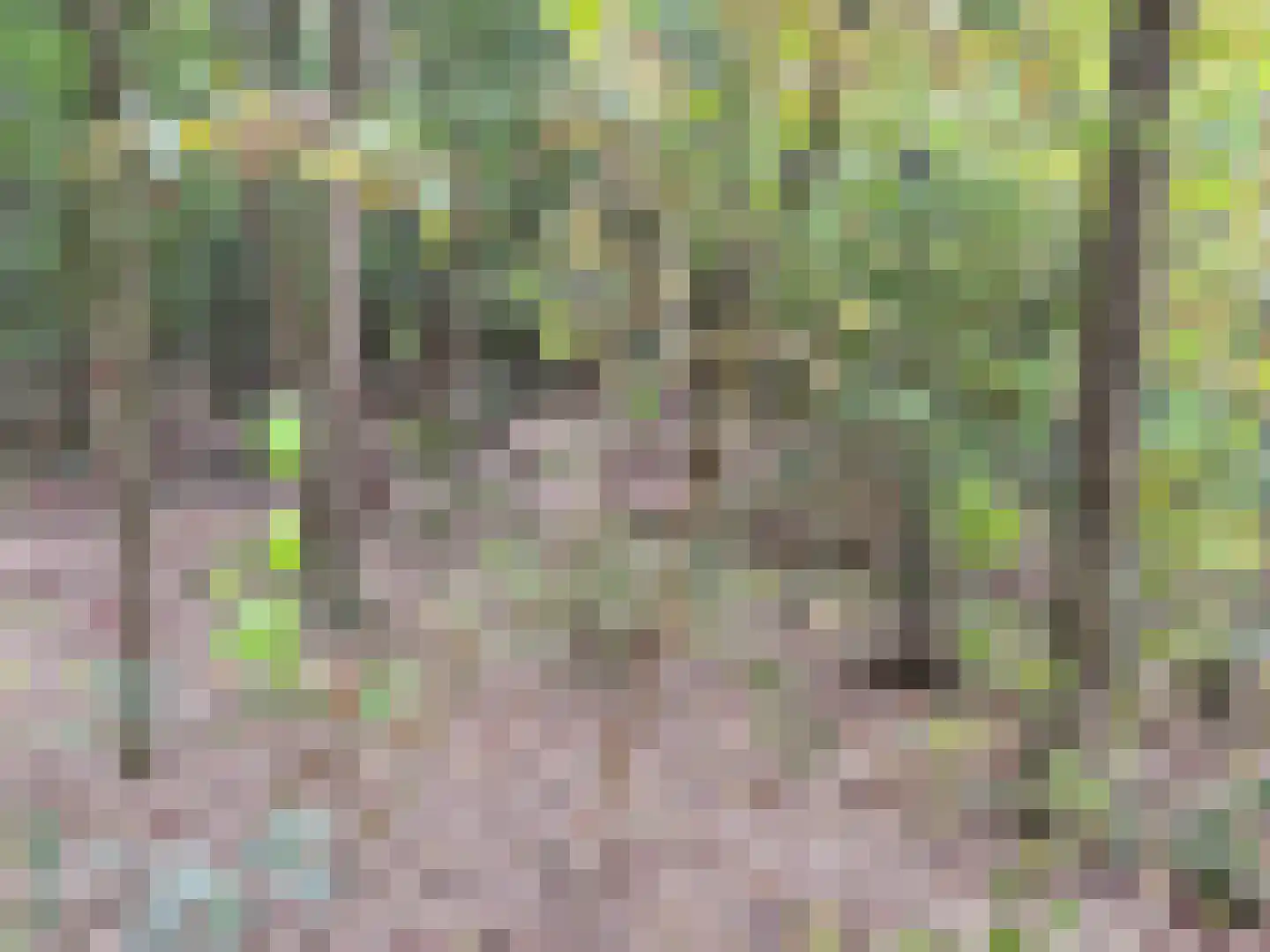 Oude Benderseweg 11 542 Ruinen thumbnail 24