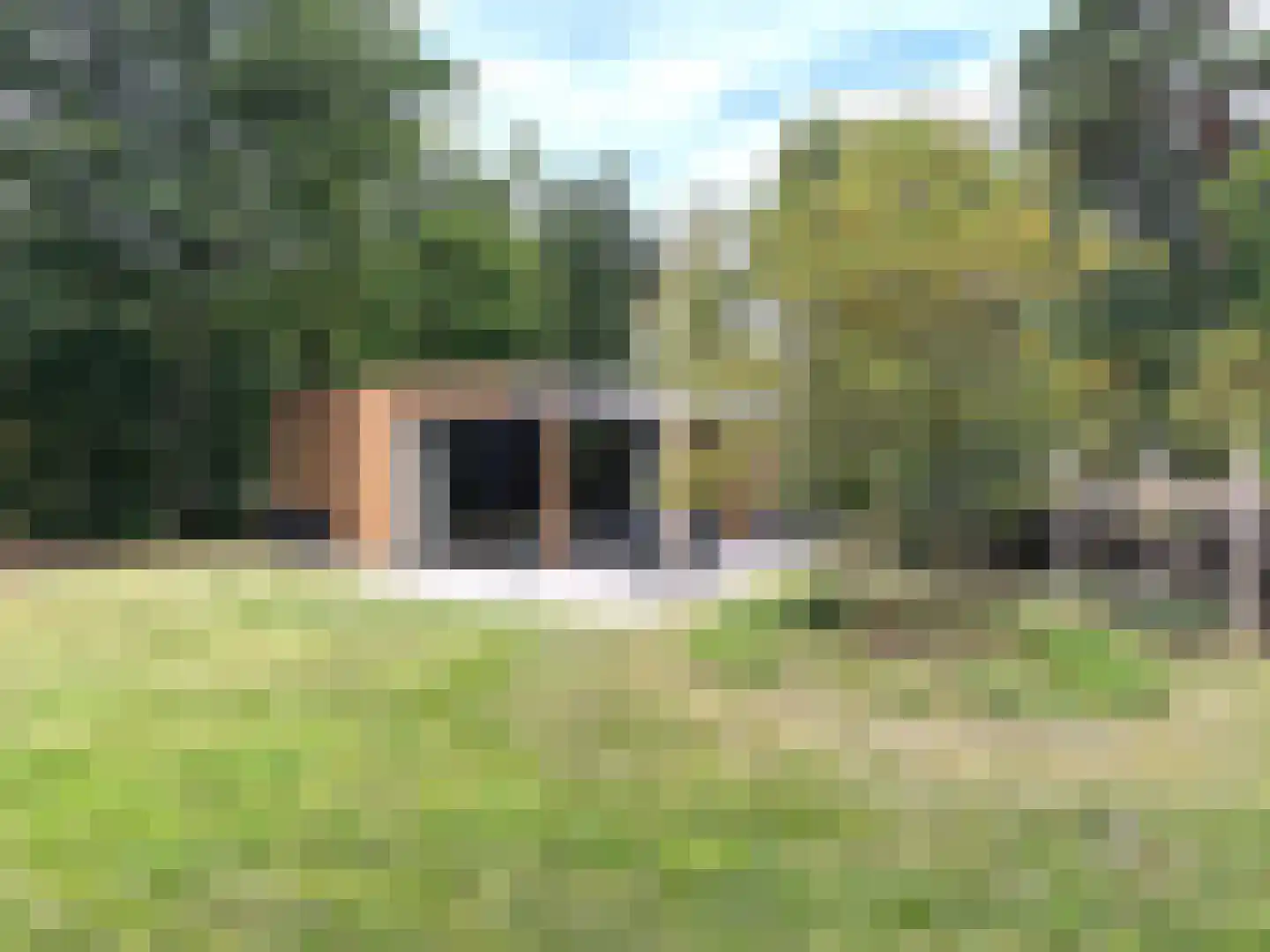 Oude Benderseweg 11 542 Ruinen thumbnail 4