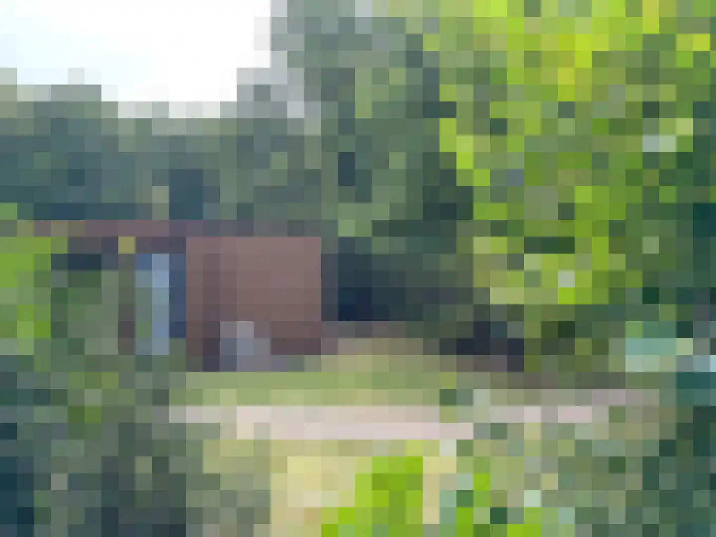 Oude Benderseweg 11 542 Ruinen thumbnail 6
