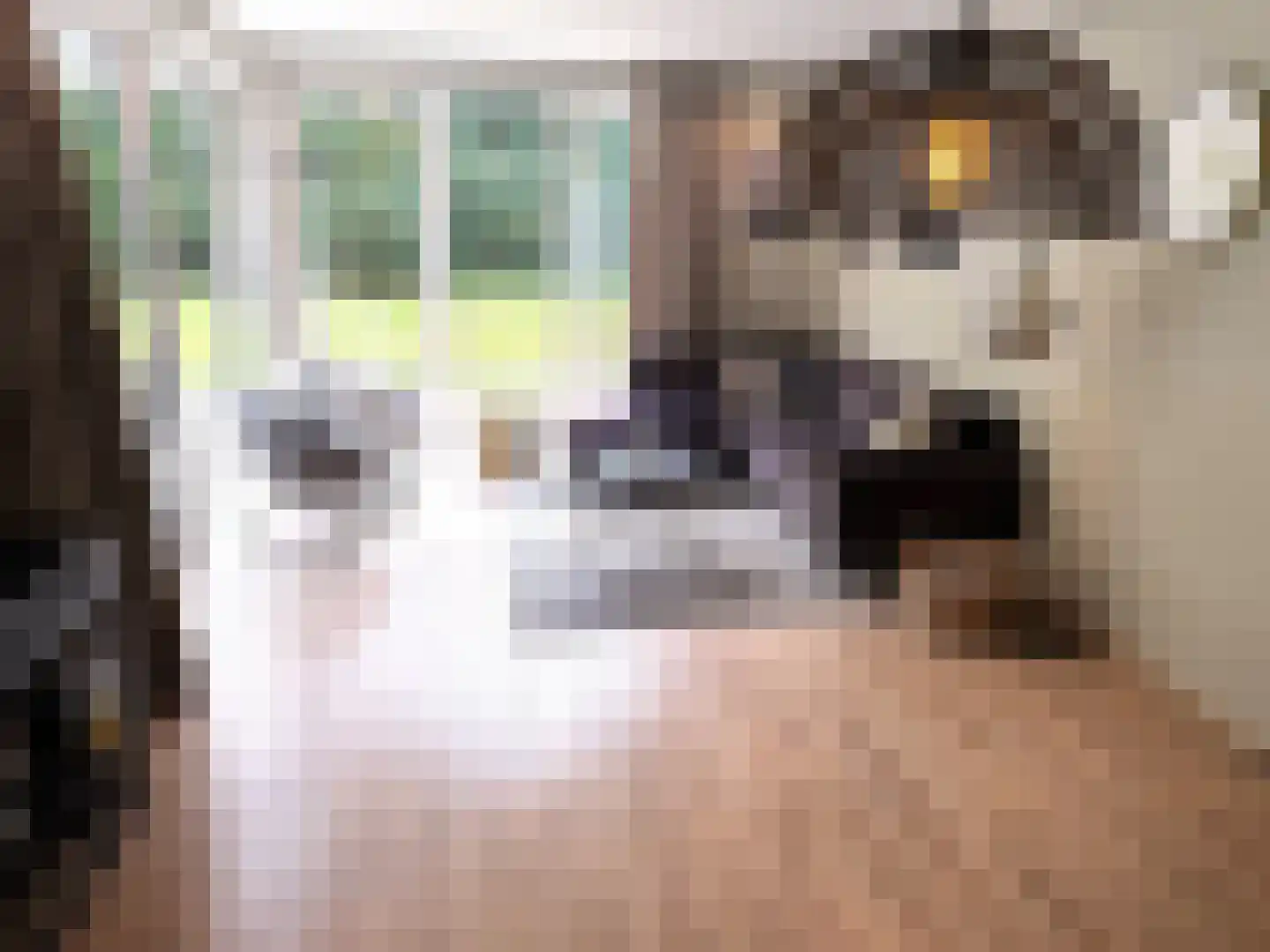 Oude Benderseweg 11 542 Ruinen thumbnail 8