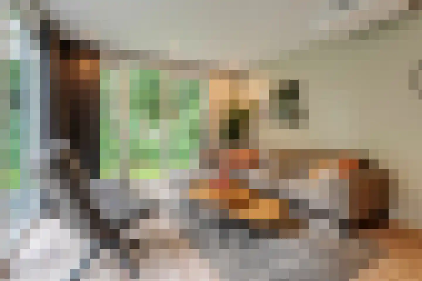 Oude Benderseweg 11 566 Ruinen thumbnail 12