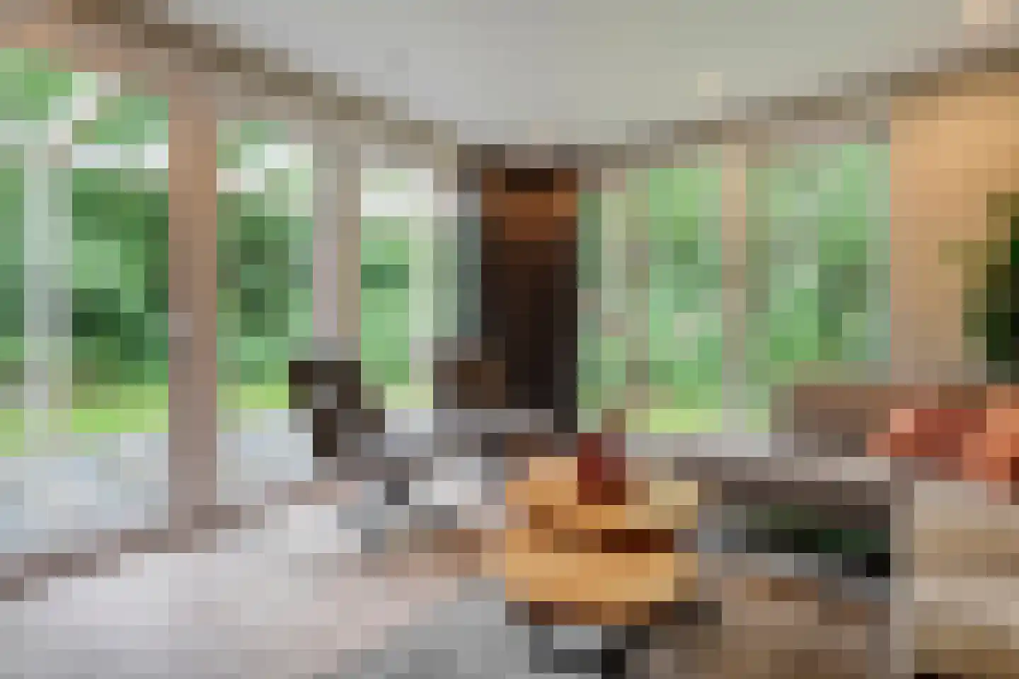 Oude Benderseweg 11 566 Ruinen thumbnail 13
