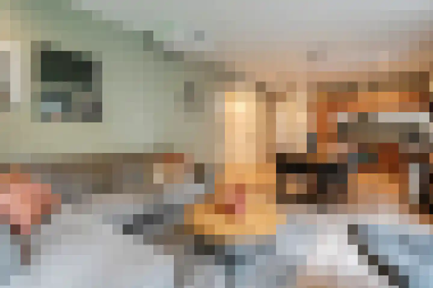 Oude Benderseweg 11 566 Ruinen thumbnail 14