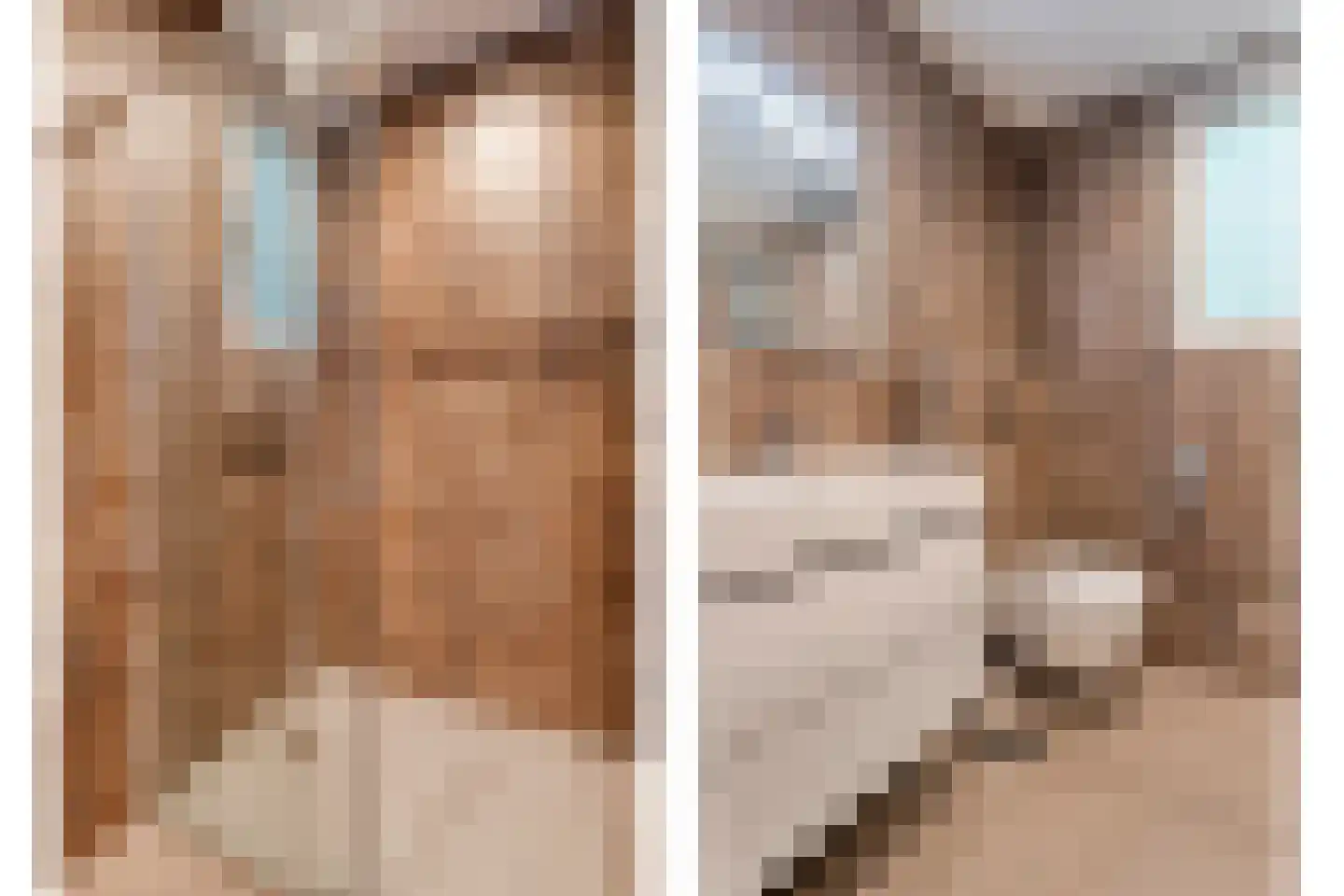 Oude Benderseweg 11 566 Ruinen thumbnail 22