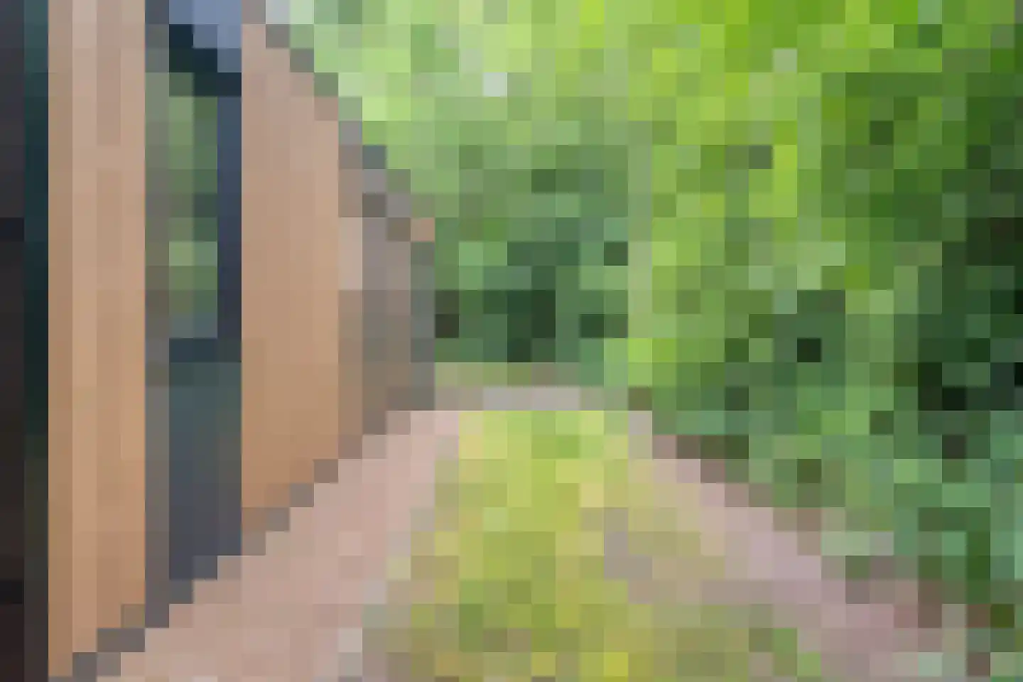 Oude Benderseweg 11 566 Ruinen thumbnail 24