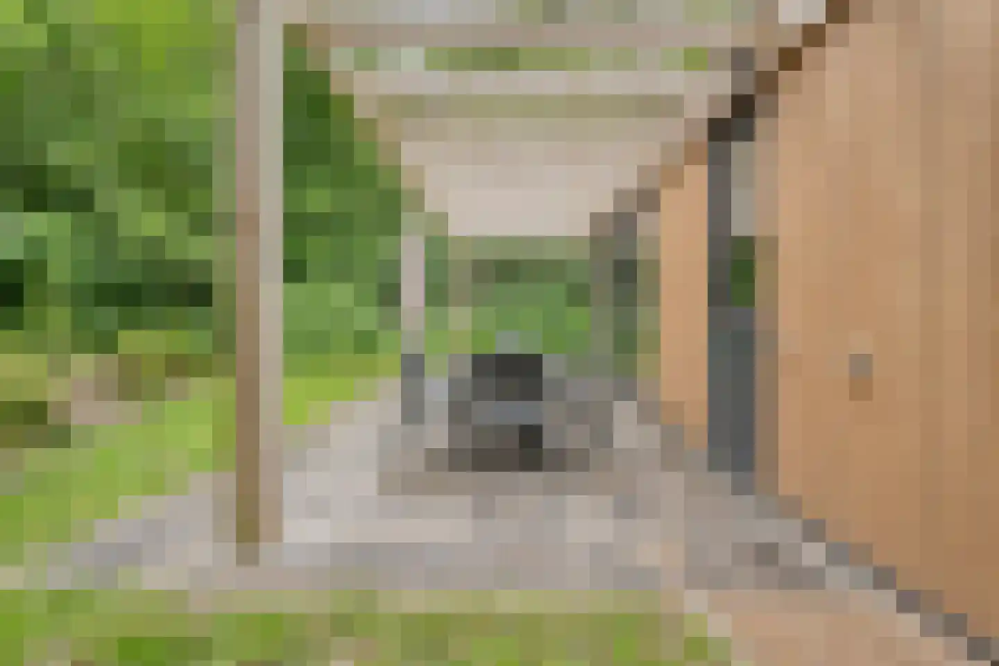 Oude Benderseweg 11 566 Ruinen thumbnail 25
