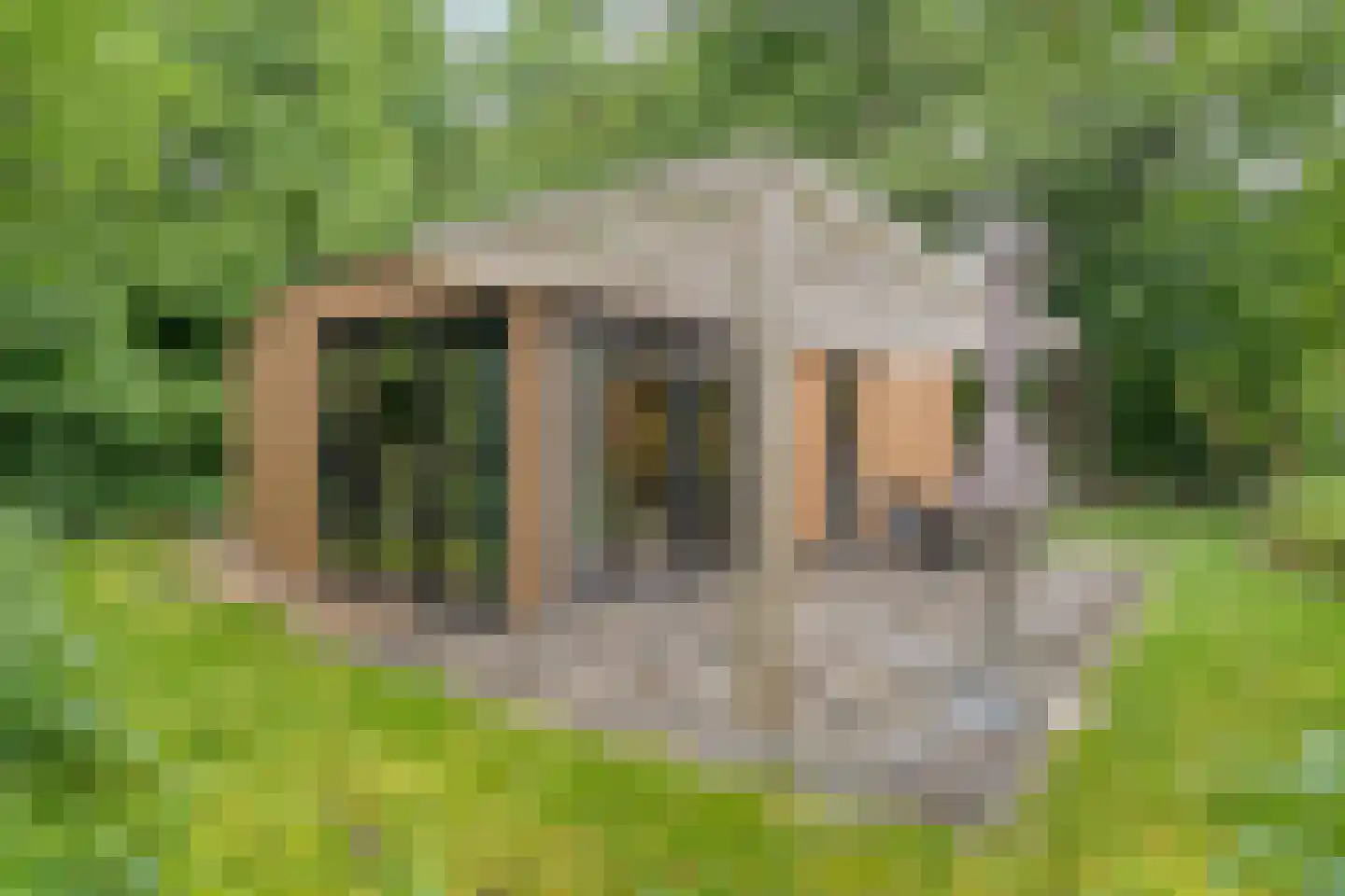 Oude Benderseweg 11 566 Ruinen thumbnail 27