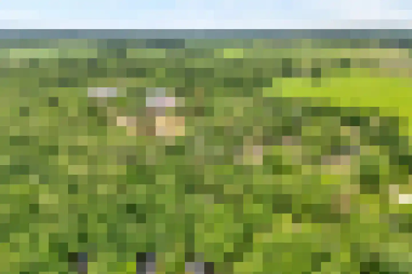 Oude Benderseweg 11 566 Ruinen thumbnail 4