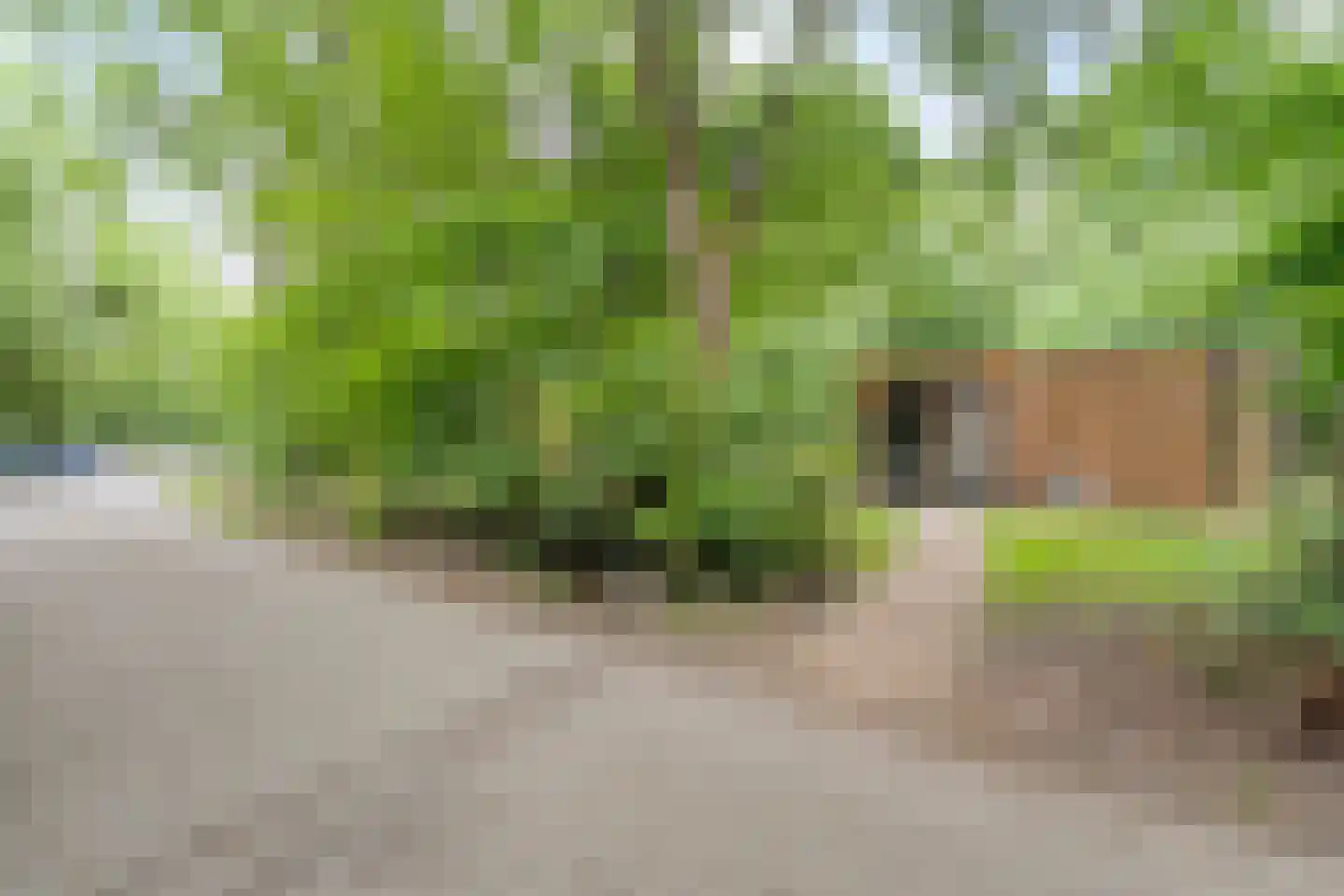 Oude Benderseweg 11 566 Ruinen thumbnail 5