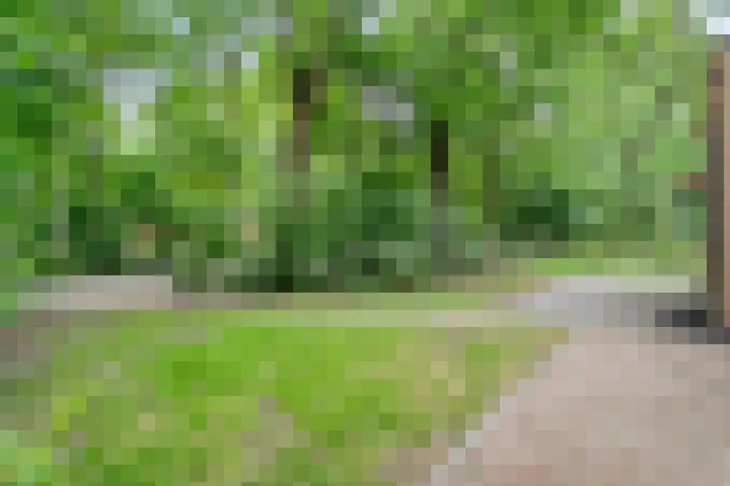 Oude Benderseweg 11 566 Ruinen thumbnail 7