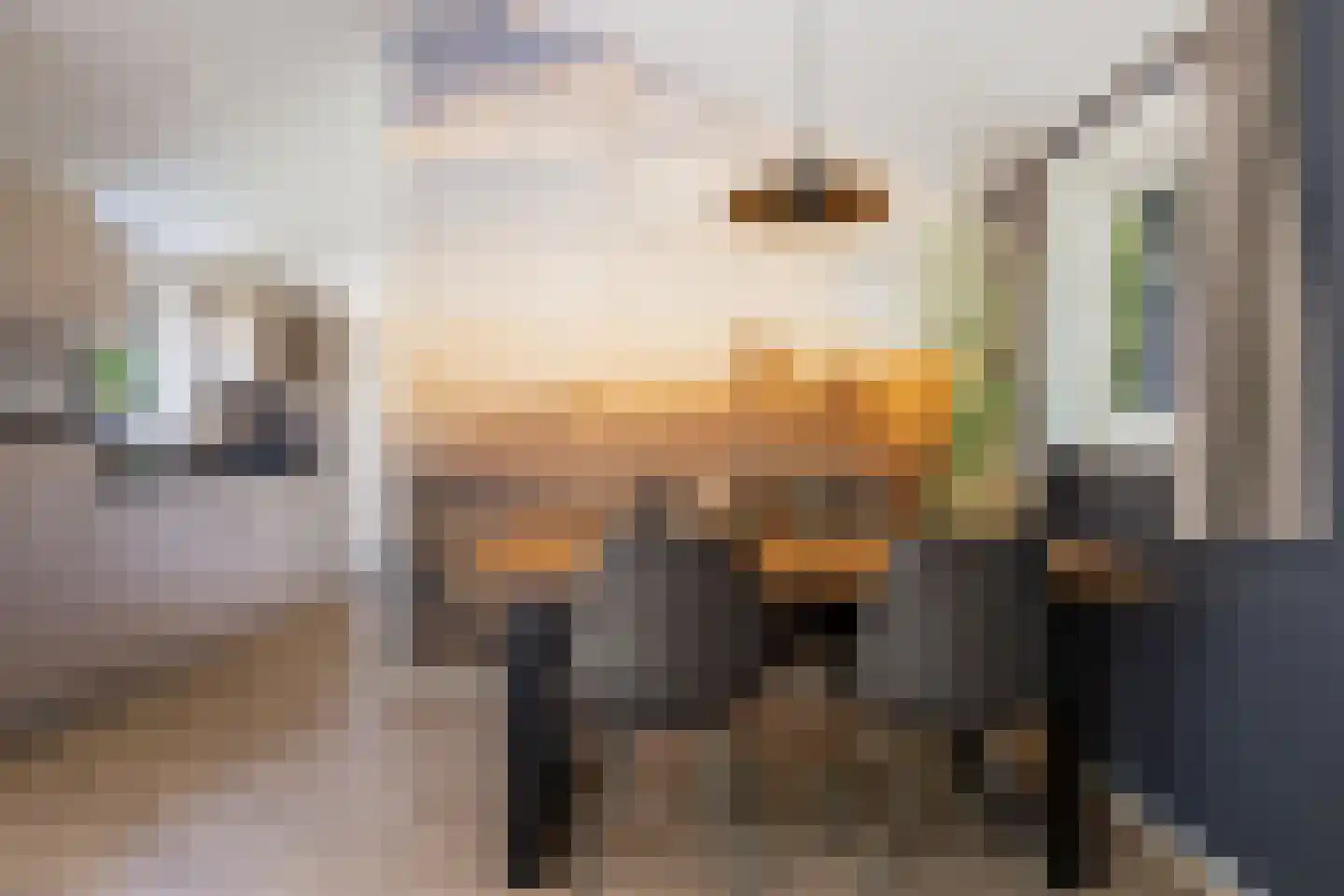 Oude Benderseweg 11 624 Ruinen thumbnail 12