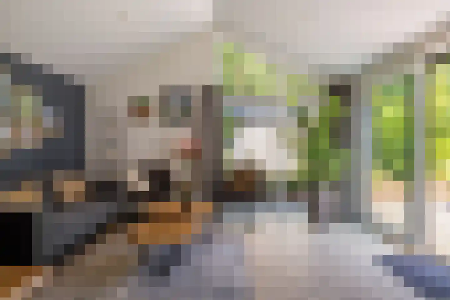 Oude Benderseweg 11 624 Ruinen thumbnail 14