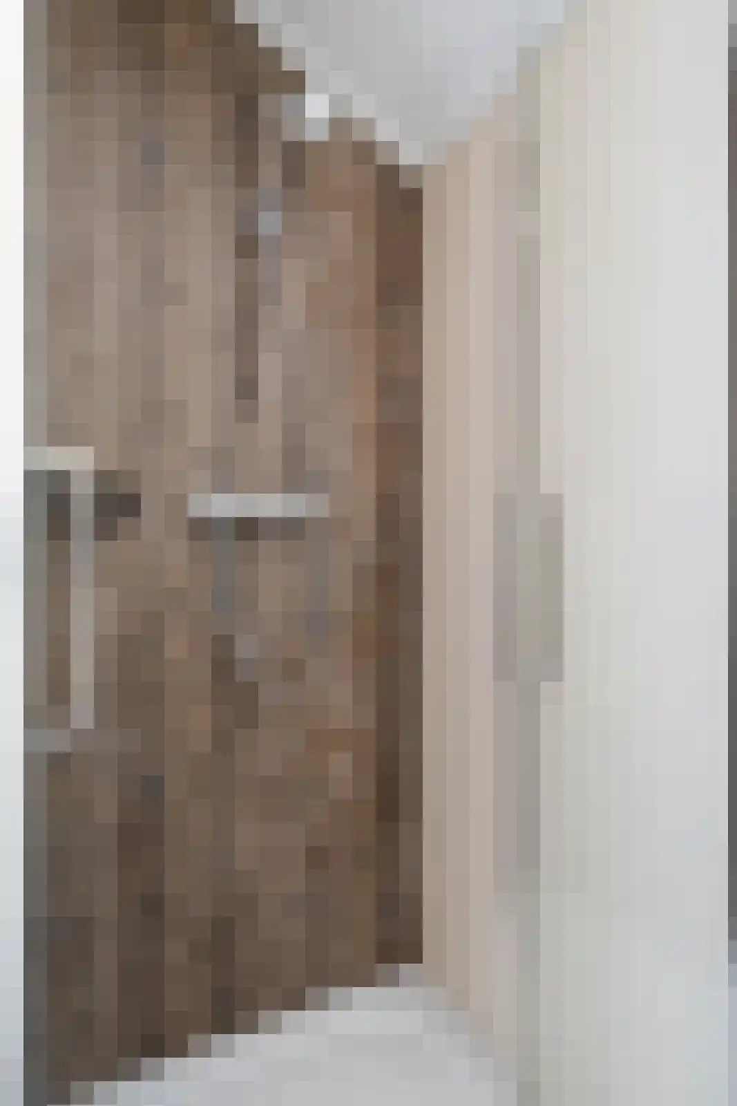 Oude Benderseweg 11 624 Ruinen thumbnail 21