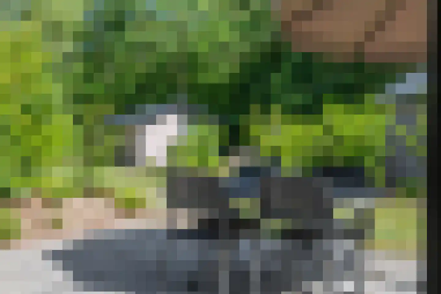 Oude Benderseweg 11 624 Ruinen thumbnail 30