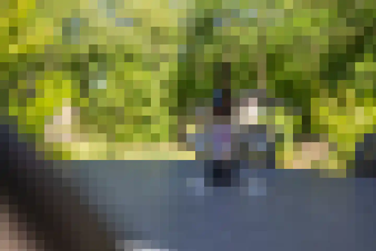 Oude Benderseweg 11 624 Ruinen thumbnail 31