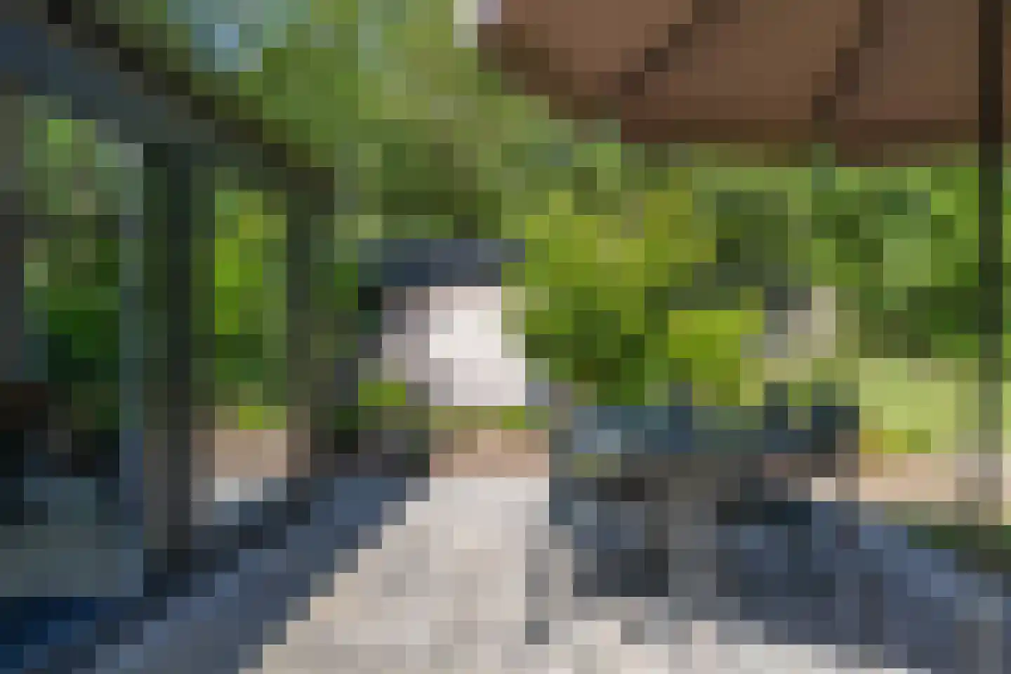 Oude Benderseweg 11 624 Ruinen thumbnail 33