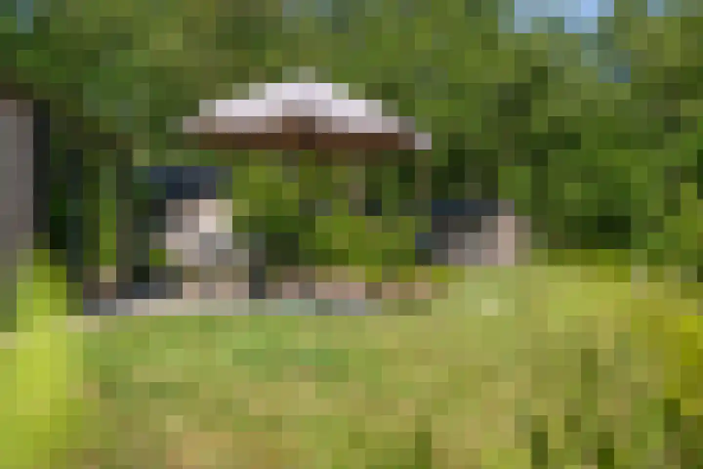 Oude Benderseweg 11 624 Ruinen thumbnail 35