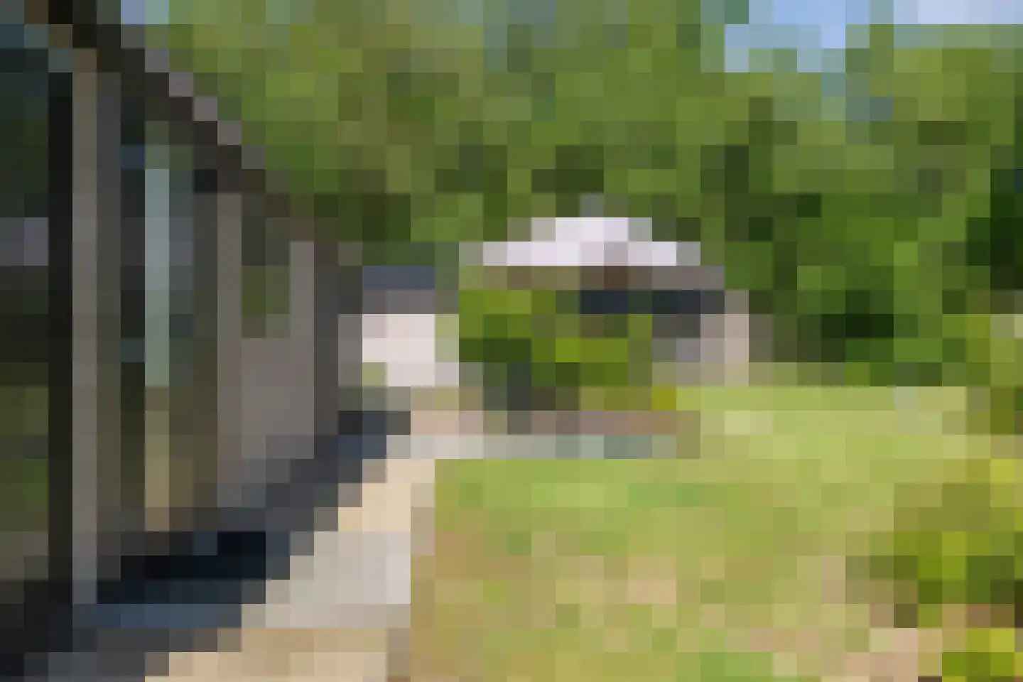 Oude Benderseweg 11 624 Ruinen thumbnail 36