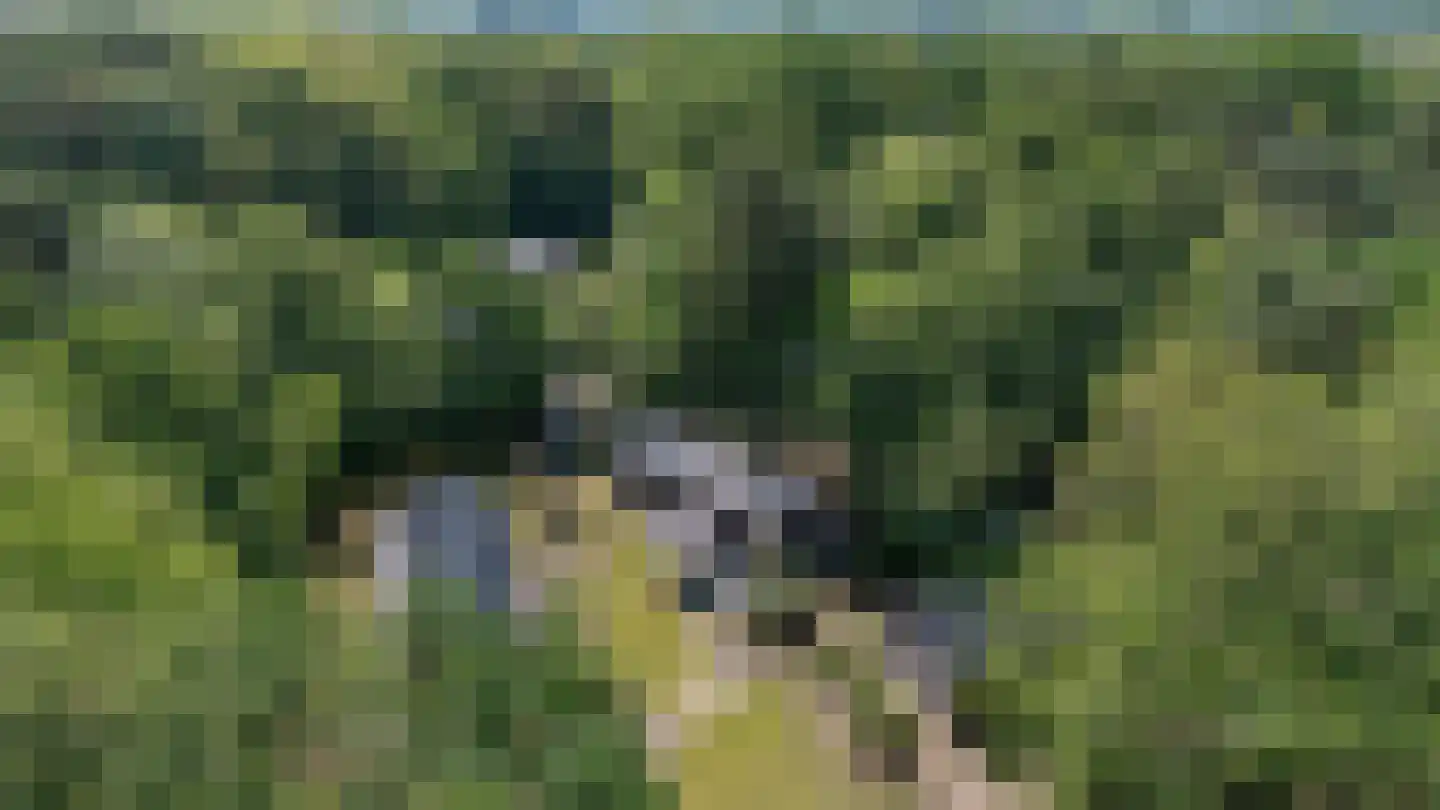 Oude Benderseweg 11 624 Ruinen thumbnail 4