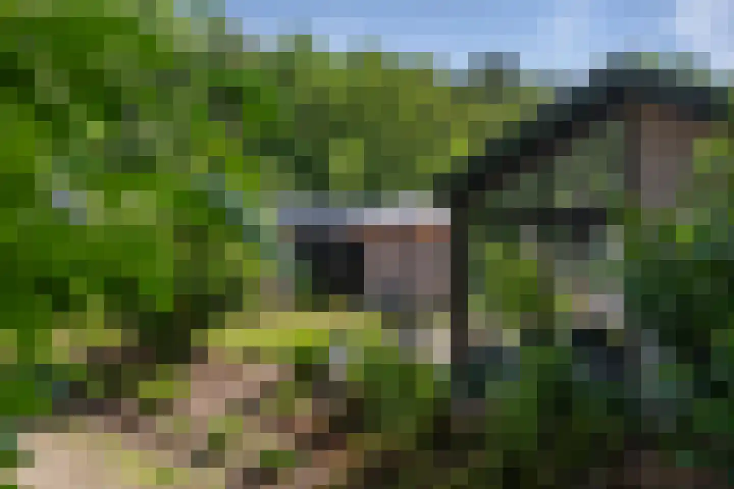Oude Benderseweg 11 624 Ruinen thumbnail 46