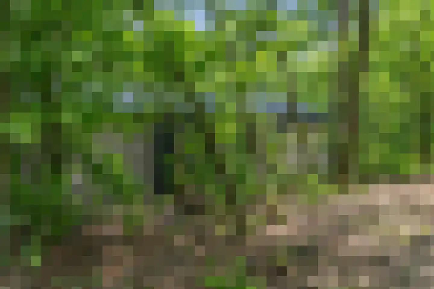 Oude Benderseweg 11 624 Ruinen thumbnail 47