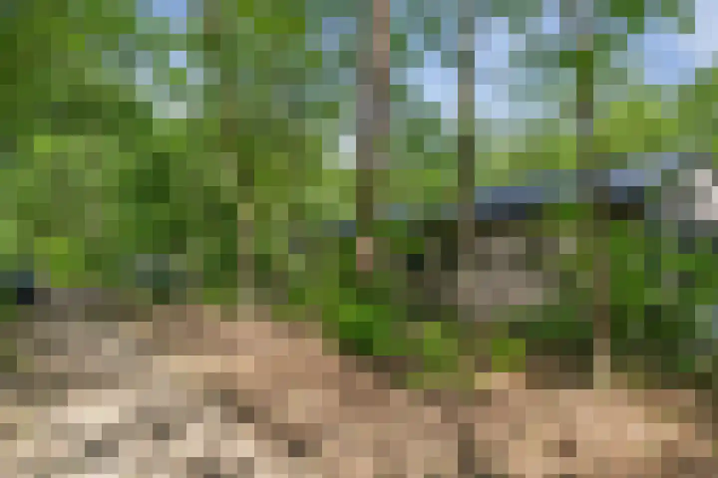 Oude Benderseweg 11 624 Ruinen thumbnail 48