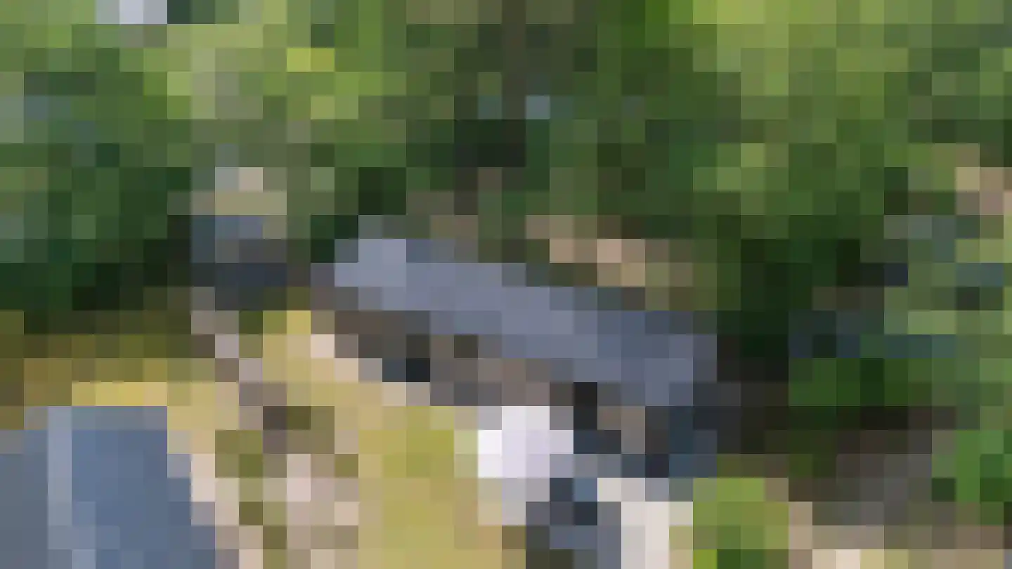 Oude Benderseweg 11 624 Ruinen thumbnail 5